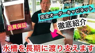 新春　第二弾　キャビネットのご紹介　☆Official☆　AquaRevue Neo CH