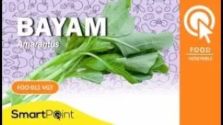 MENGENAL TANAMAN BAYAM - SmartPoint FOO012