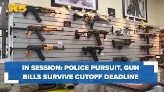 In Session: police pursuit, gun bills survive cutoff deadline