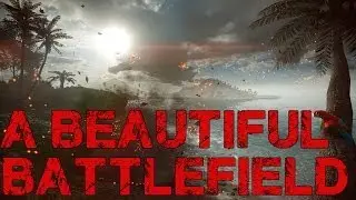 A Beautiful Battlefield