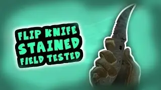 CSGO Flip Knife Stained Field Tested (Showcase)