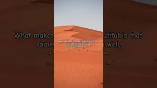 What makes the desert beautiful? #desert #easterndesert #westerndesert #desertsands #desertbeauty