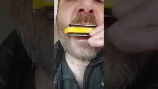 I can't help falling in love on harmonica, trying to play melody and arpeggio together #shorts