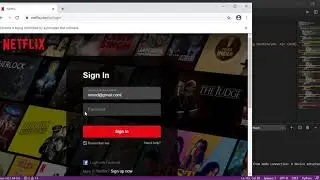 Python mini Project(Netflix)