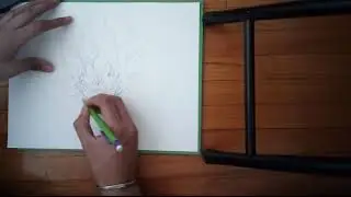 Vegeta timelapse