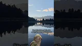 No Birds Allowed&hellip; Except Her