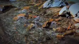 Calming River Soundscape with Nature&rsquo;s Pure Harmony