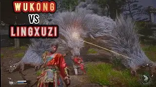 Wukong Vs The Big White Wolf Lingxuzi! | Black Myth Wukong (music by @okweapons )