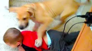PUPPY TACKLE!!!