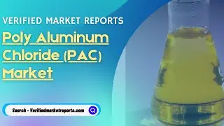 Top 10 Company In Poly Aluminum Chloride (PAC) Market Size And Forecast- Verified Market Reports