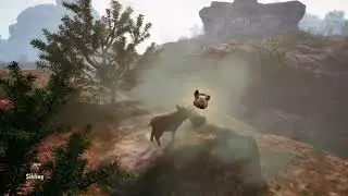 Adorable Adventures [exploring nature as a boar]