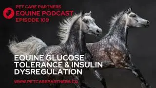 Glucose Tolerance & Insulin Dysfunction in Horses | Pet Care Partners Ep. 109