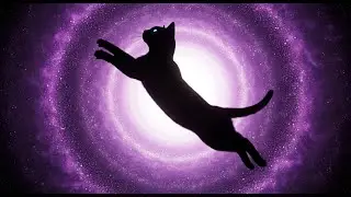 Unlock Your Feline Instinct: How to Shatter Limiting Beliefs & Manifest Freedom | 888 Hz