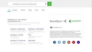 Local SEO Company USA | BrandSpurt