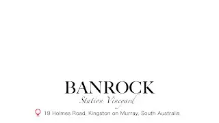 Banrock Station Vineyard