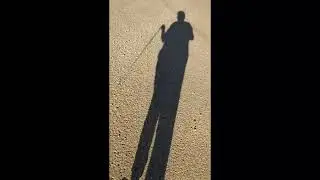 Taking Luna On A Walk #puppiesofyoutube #cutepuppy #rescuedogsrock #emotionalsupportanimal #anxiety