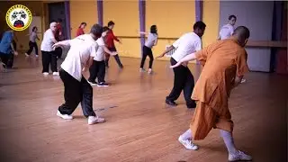 Stage de boxe interne (Jin Gang Quan) avec Ma&icirc;tre Shi Heng Jun