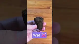 Wet vs Moist Grow Mediums | Indoor Gardening Mistake to Avoid