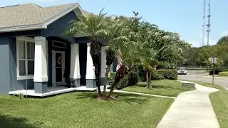 Florida Walk with Calming Ambient Sounds for Sleep Study Relax, Winter Oaks &middot; Orlando Suburbs 4K