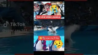 Killer whale kill his trainer-Jessica#short#viral#video
