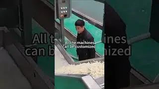 Most Advanced Technology frozen french fries production line from our customer factory