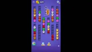 Kitty Sort: Twisted Tails Level 161-165 Gameplay | Funny Games
