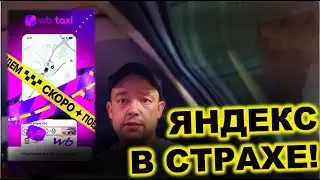 УТИЛЬ СБОР НЕ ПОМОГ НАЛОГОВОЙ! КАКИЕ МАРКИ ЛЮЯТ РОССИЯНЕ? WB ТАКСИ УЖЕ ЗАРАБОТАЛО