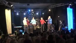Burgenl&auml;nder Weinfest in Gussenstadt