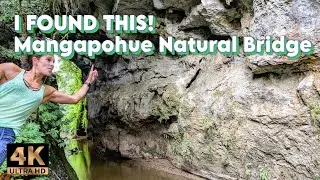 I Walked Mangapohue Natural Bridge In New Zealand and Here's What I Found