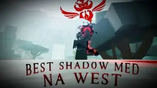 The BEST top 250 shadow medium build