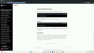 python install package with version