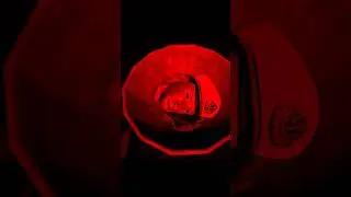 The Moment I Realized I Was DOOMED | Ded Sailor Horror Game #gaming #gamingshorts #horrorgaming