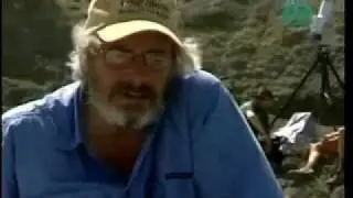 YouTube - Dinosaur to bird evolution 2 of 5