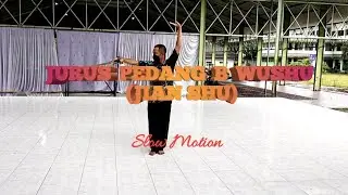 Tutorial Slow motion jurus jian shu b (pedang) wushu