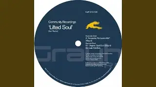 Organic Soul Dub
