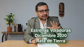 Feng Shui Tips - Estrellas Voladoras Diciembre 2020,  Rata de Tierra