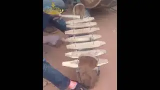 Jorgito nipita oficial video