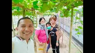 CAPIZ Grapes Sanctuary Est. 2022 by Sorillo Farm (credit to the owner of music by Louis Armstrong)