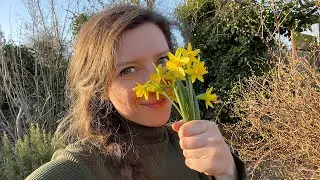 February Allotment Garden Tour 2021 / Homegrown Garden