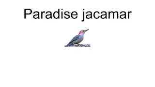 Paradise Jacamar