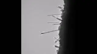Growth of CuO nanowires