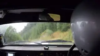Nick Elliott / Dave Price Woodpecker Stages  2025 - Stage 8, Tarenig2