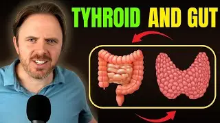 Things You Must Know About the Thyroid Gut Immune Axis