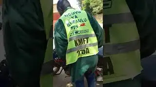 Vituko vya stegii..