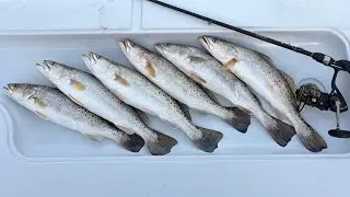 LIMIT of Speckled Trout Caught in Southeast Texas!!