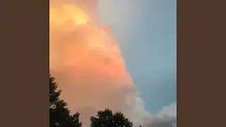 August 6