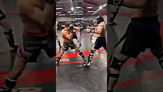 Любимая работа 🥊😍🔥#спарринг #mma #boxing #ufc #popmma #reels #sports #fighter #бокс #conormcgregor