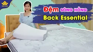Review| Đệm cao cấp S&ocirc;ng Hồng Back Essential gập đ&ocirc;i 2021