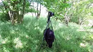 K&F Concept TC 2335 Tripod