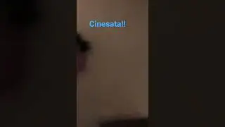 Cinesata assurda 🇨🇳